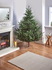 Premier Decorations Ltd Green Glenshee Spruce PE/PVC Natural Look 7ft Christmas Tree - Image 1 of 4