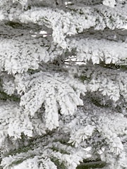 Premier Decorations Ltd Green Snowy 6ft Christmas Tree - Image 4 of 4