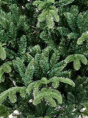 Premier Decorations Ltd Green 7ft Calgary Spruce PE/PVC Christmas Tree - Image 3 of 4
