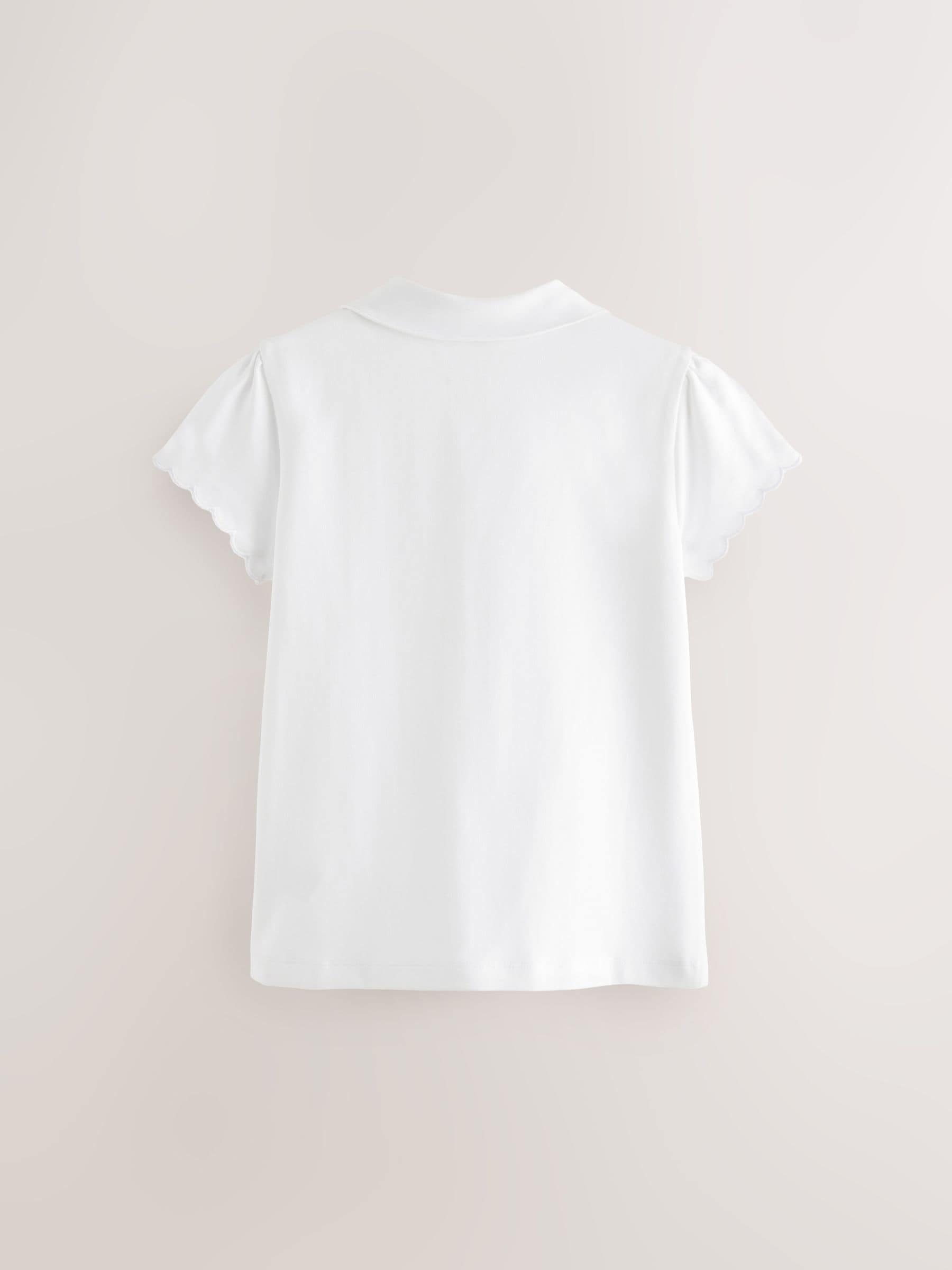 Buy White Cotton Rich Scallop Collar School Polo Tops 2 Pack