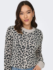JDY Leopard Print Soft Touch V-Neck Jumper - Bild 4 von 6