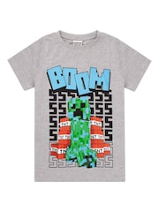 Vanilla Underground Grey Minecraft Boys 100% Cotton Gaming T-Shirt - Image 1 of 5