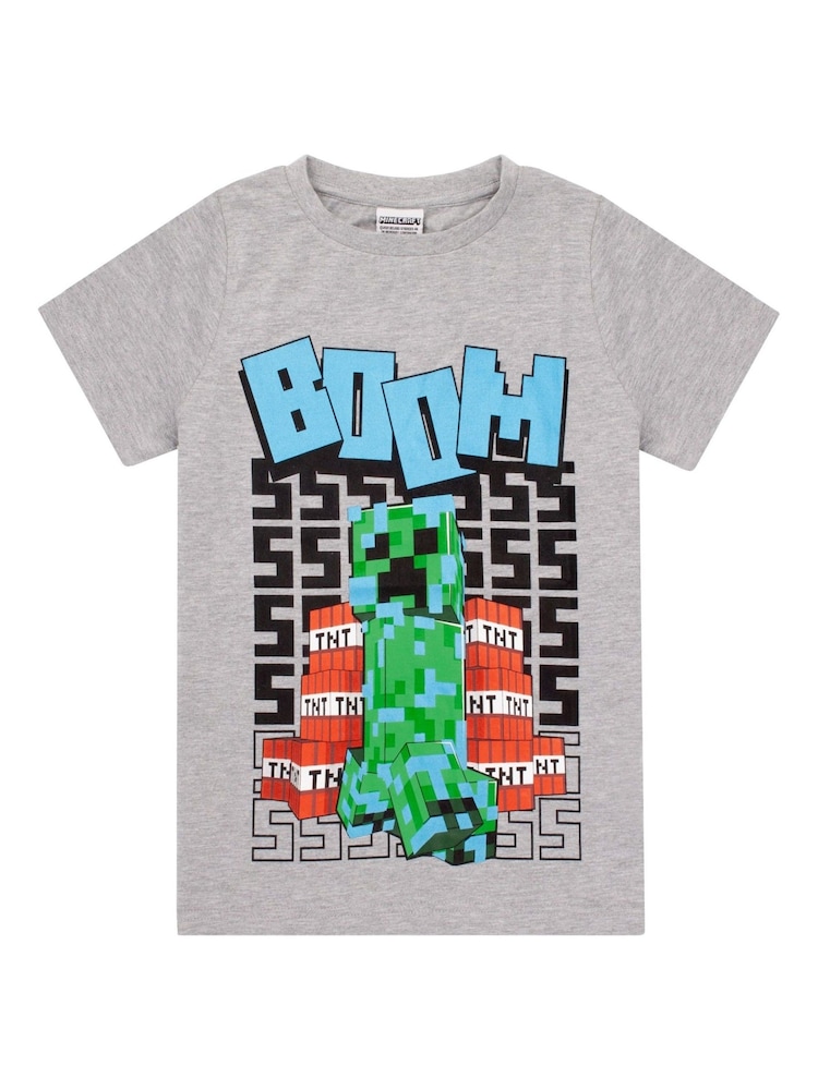 Vanilla Underground Grey Minecraft Boys 100% Cotton Gaming T-Shirt - Image 1 of 5
