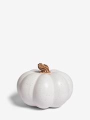 White Autumn Pumpkin Ornament - Image 3 of 4