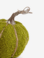 Set of 3 Multi Borg Pumpkin Ornaments - Image 5 of 5