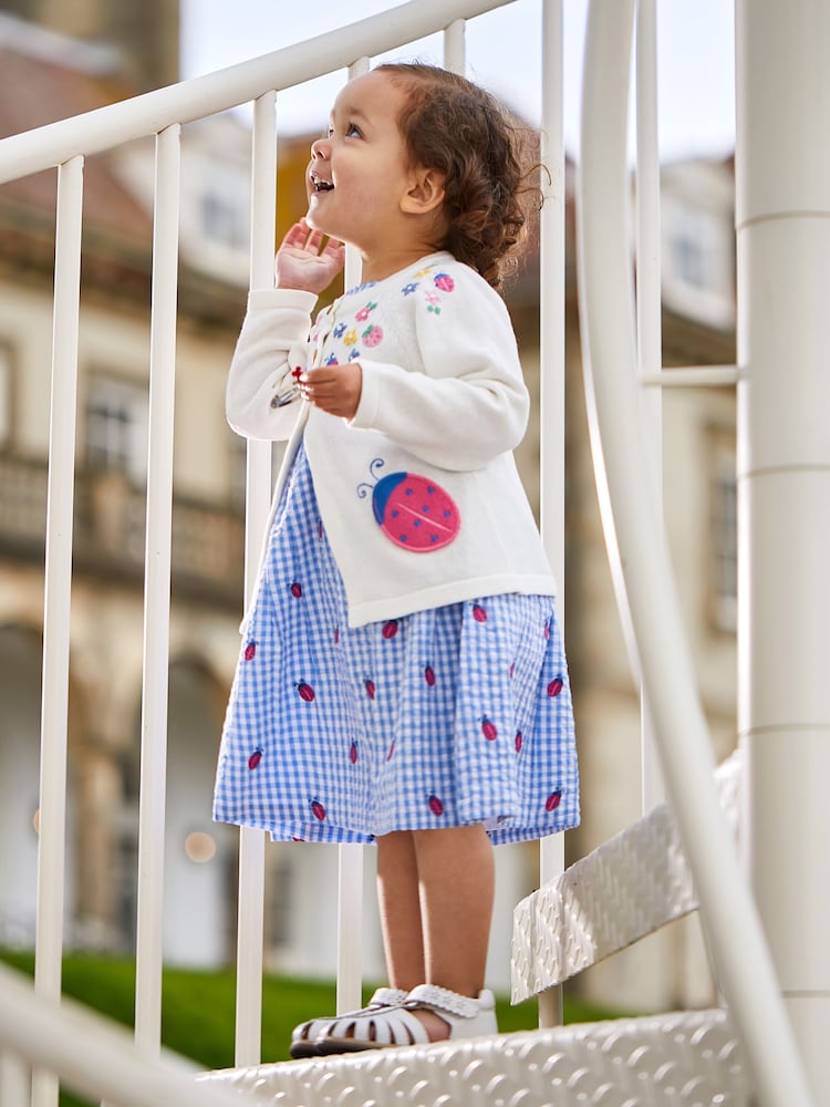 JoJo Maman Bébé Blue Ladybird Gingham Embroidered Summer Dress - Image 2 of 5