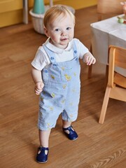 JoJo Maman Bébé Blue 2-Piece Chicks Embroidered Dungarees & Body Set - Image 1 of 5