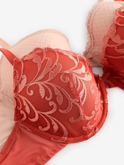 Rostorange/Pink - Bestickte BHs im 2er-Pack - Bild 13 von 13