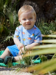 JoJo Maman Bébé Blue Stegosaurus Printed T-Shirt & Shorts Set - Image 1 of 5