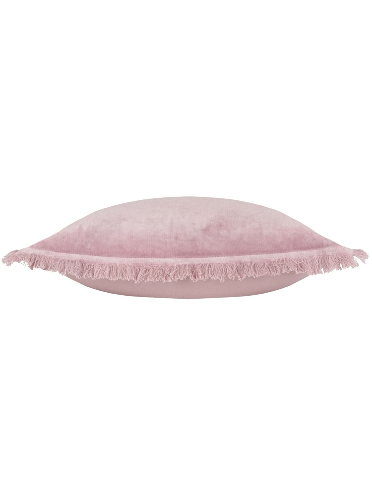 Furn 45 x 45cm Gracie 100% Cotton Velvet Fringed Polyester Filled Cushion - Изображение 5 из 5
