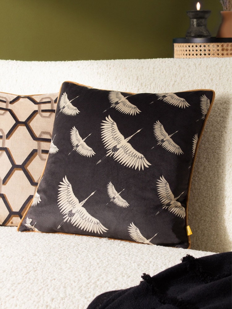 Furn Black Avalon Velvet Piped Feather Filled Cushion - Image 1 of 6
