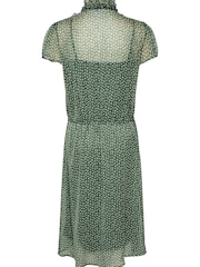 Saint Tropez Green Lilja Ruffles Short Sleeve Dress - Image 6 of 6