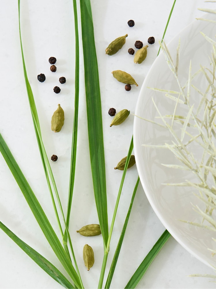 Jasper Conran London Vetiver & Cardamom Fragranced Reed Diffuser - Image 8 of 8 Jasper Conran London Vetiver & Cardamom Fragranced Reed Diffuser - Image 8 of 8