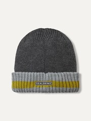 Sealskinz Holkham Waterproof Cold Weather Striped Roll Cuff Beanie - Image 1 of 2