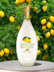 LeBonVin Bottega Cream Limoncino Liqueur Gift - Image 1 of 2