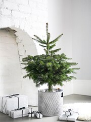 Ivyline Grey Indoor Christmas Tree Bucket - Image 1 of 3