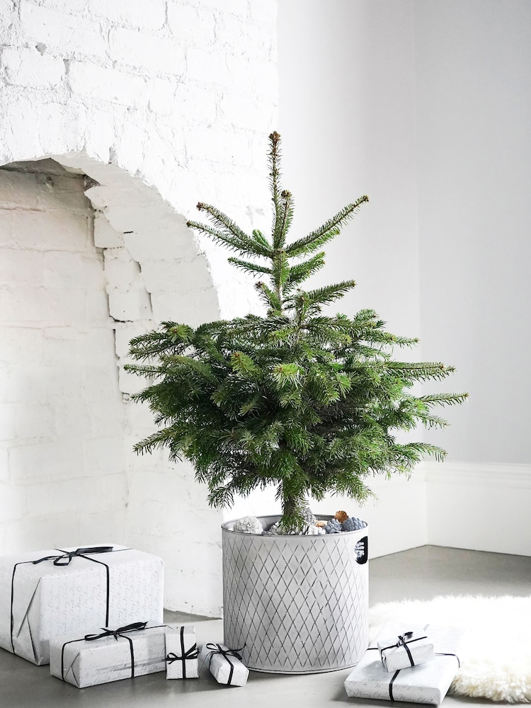 Ivyline Grey Indoor Christmas Tree Bucket - Image 1 of 3