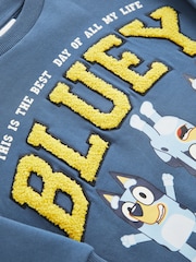 أزرق - سويت شيرت بياقة بحافة مستديرة من القطن 100% من Bluey (6 شهر-8 سنة) - صورة 3 من 3