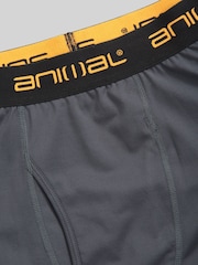 Animal Grey Mens Off Piste Thermal Leggings - Image 7 of 7
