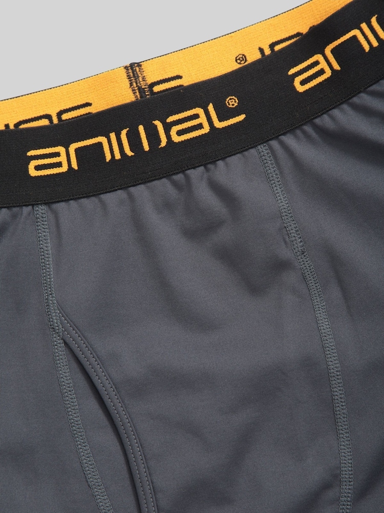 Animal Grey Mens Off Piste Thermal Leggings - Image 7 of 7