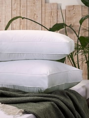 Fine Bedding Company Return to Nature Biodegradable Pillow - Image 1 of 4