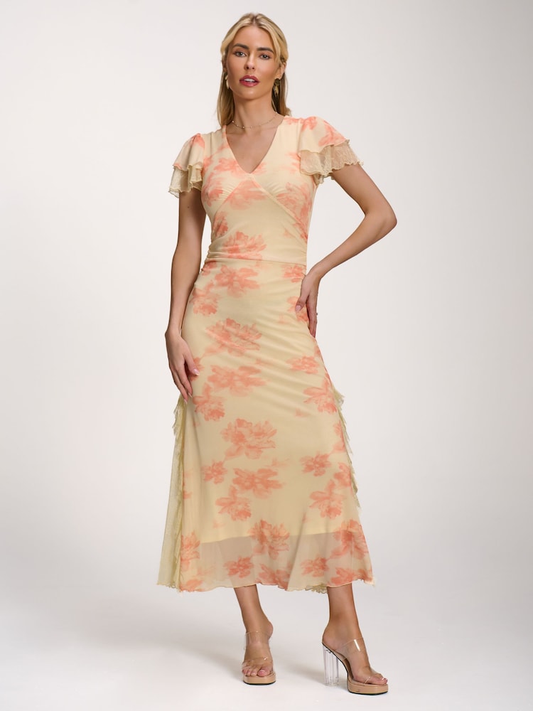 橙色 - Jolie Moi Lace Insert Mesh Midi Dress - 圖片 1/6