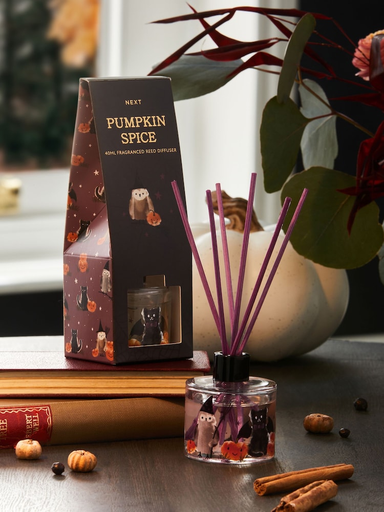 Pumpkin Spice Fragranced 40ml Reed Diffuser - Image 1 of 4