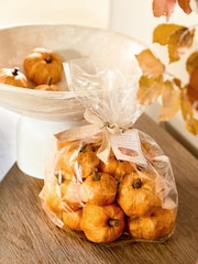 Pumpkin And Maple Scented Pot Pourri - Image 1 of 3