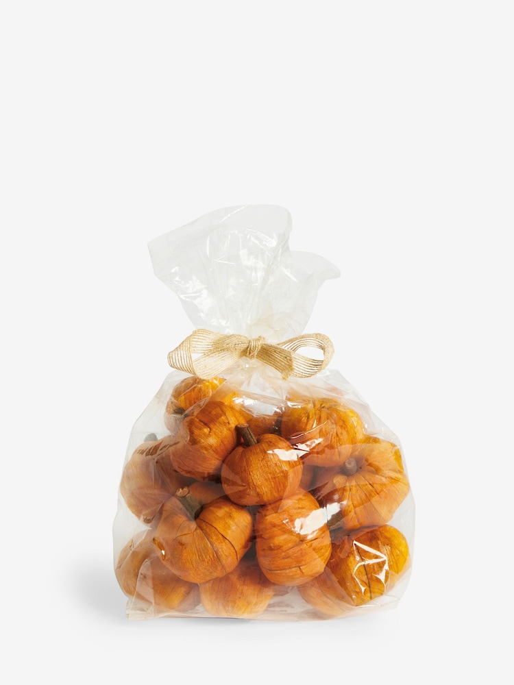 Pumpkin And Maple Scented Pot Pourri - Image 3 of 3