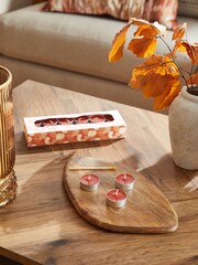 Orange 24 Pack Pumpkin and Maple Scented Tealights - Image 2 of 4