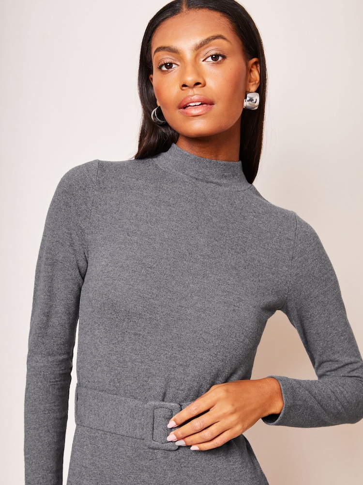 Lipsy Grey Cosy Belted High Neck Coloumn Midi Jumper Dress - Image 4 of 4