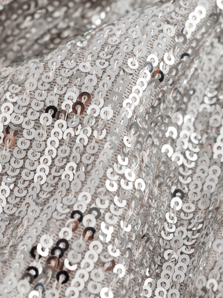 Silver Sequin Blazer Dress - Image 7 of 7 Silver Sequin Blazer Dress - Image 7 of 7