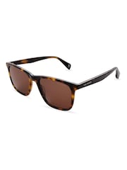 Ted Baker Brown Jacobe Sunglasses - Image 1 of 5