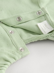 Vert sauge Vert/ Blanc/ Grey Pointelle - Bébé Manches longues 100% Coton Body 3 Lot - Image 9 de 11