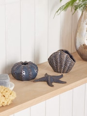 Blue Shell Ornaments Set of 3 - Image 1 of 4