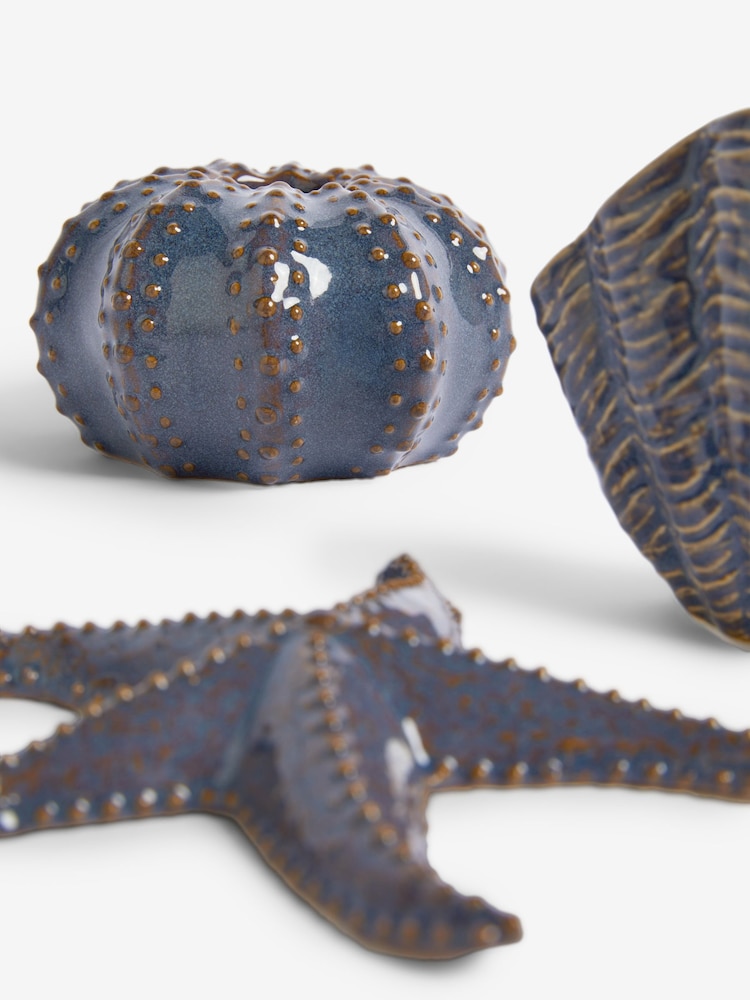 Blue Shell Ornaments Set of 3 - Image 4 of 4