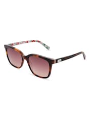 Cath Kidston Brown Marlene Sunglasses - Image 1 of 5