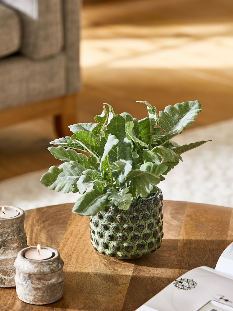 Green Artificial Reactive Cabbage Plant - Image 1 of 3