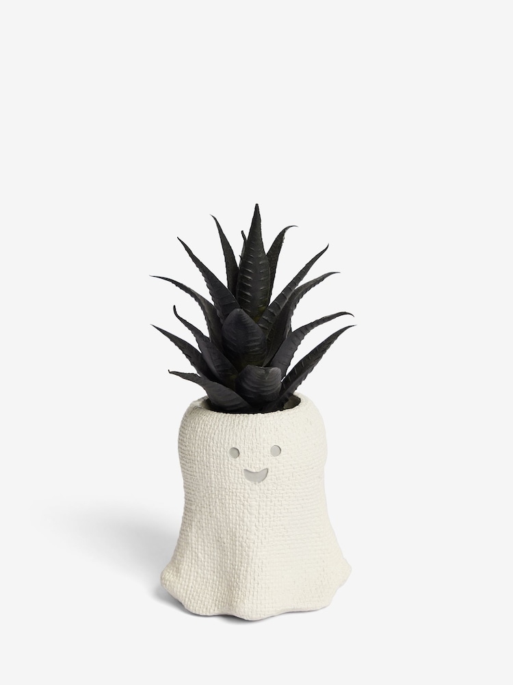 Black Artificial Mini Ghost Succulent - Image 2 of 4