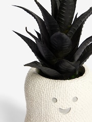 Black Artificial Mini Ghost Succulent - Image 3 of 4