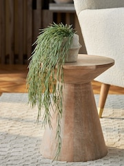 Green Artificial Trailing Plant - Image 1 of 4