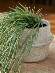 Green Artificial Trailing Plant - Image 4 of 4