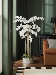 White Real Touch Artificial Extra Large Floor Standing Orchid - Image 1 of 4
