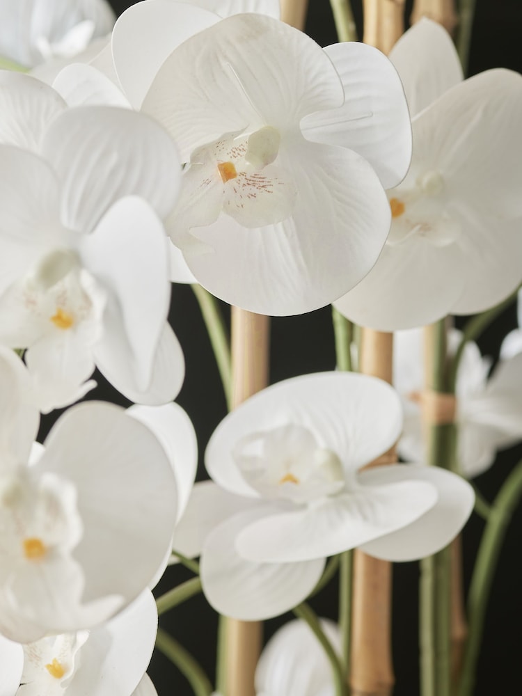 White Real Touch Artificial Extra Large Floor Standing Orchid - Image 2 of 4