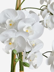 White Real Touch Artificial Extra Large Floor Standing Orchid - Image 3 of 4