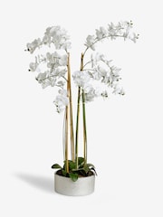 White Real Touch Artificial Extra Large Floor Standing Orchid - Image 4 of 4