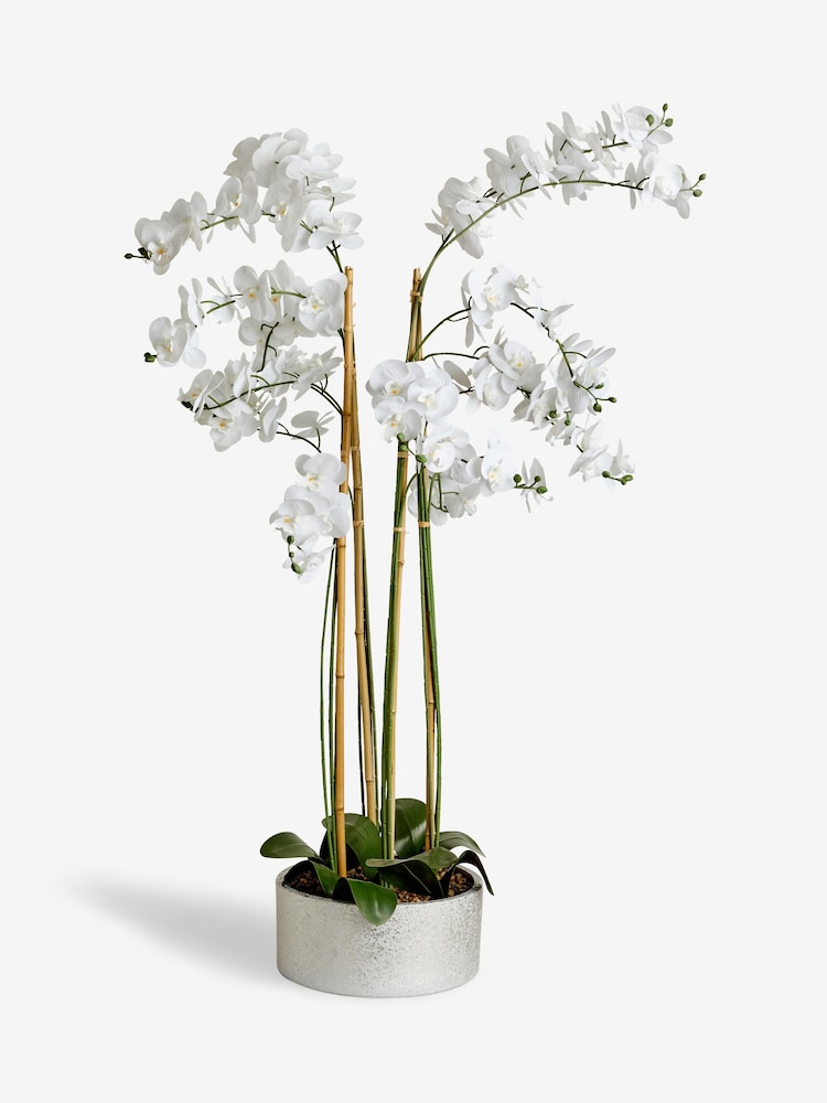 White Real Touch Artificial Extra Large Floor Standing Orchid - Image 4 of 4 White Real Touch Artificial Extra Large Floor Standing Orchid - Image 4 of 4