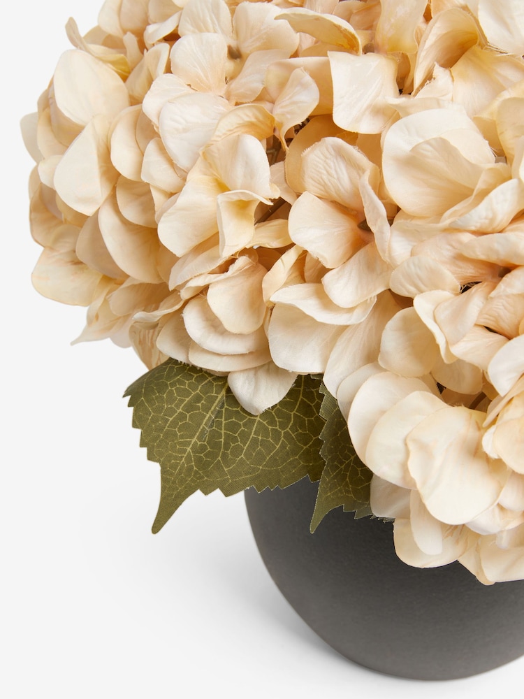 White Artificial Hydrangea Arrangement In Black Ceramic Vase - Image 5 of 5