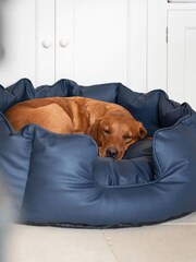 Lords and Labradors Blue High Sided Dog Bed Rhino Leather - Image 1 of 3