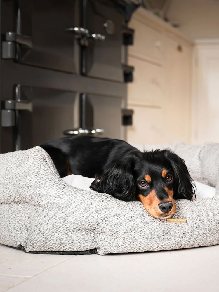 Lords and Labradors Light Grey Essentials Herdwick Oval Dog Bed - Image 1 of 6